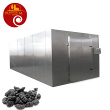 Mulberry Hot Air Dryer Mulberry Drying Dehydration Mulberry Drying Air Energy Heat Pump Dryer